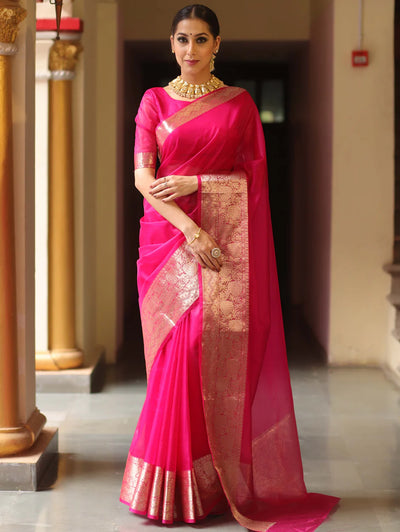 Beautiful Organza jacquard Red Saree With Raw Silk Blouse