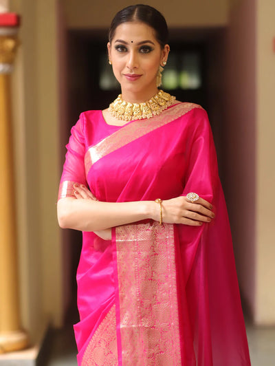 Beautiful Organza jacquard Red Saree With Raw Silk Blouse