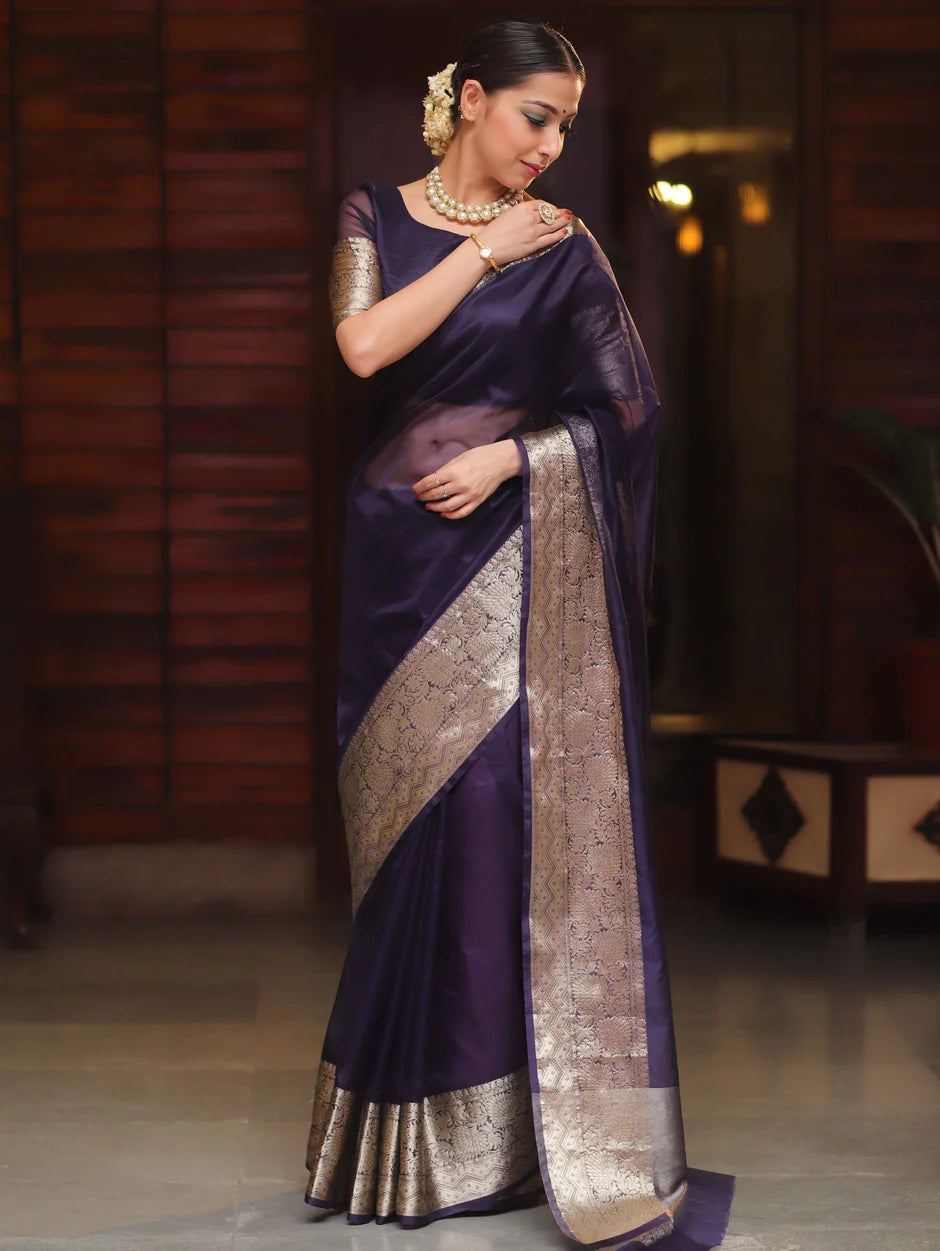 Beautiful Organza jacquard Navy Blue Saree With Raw Silk Blouse