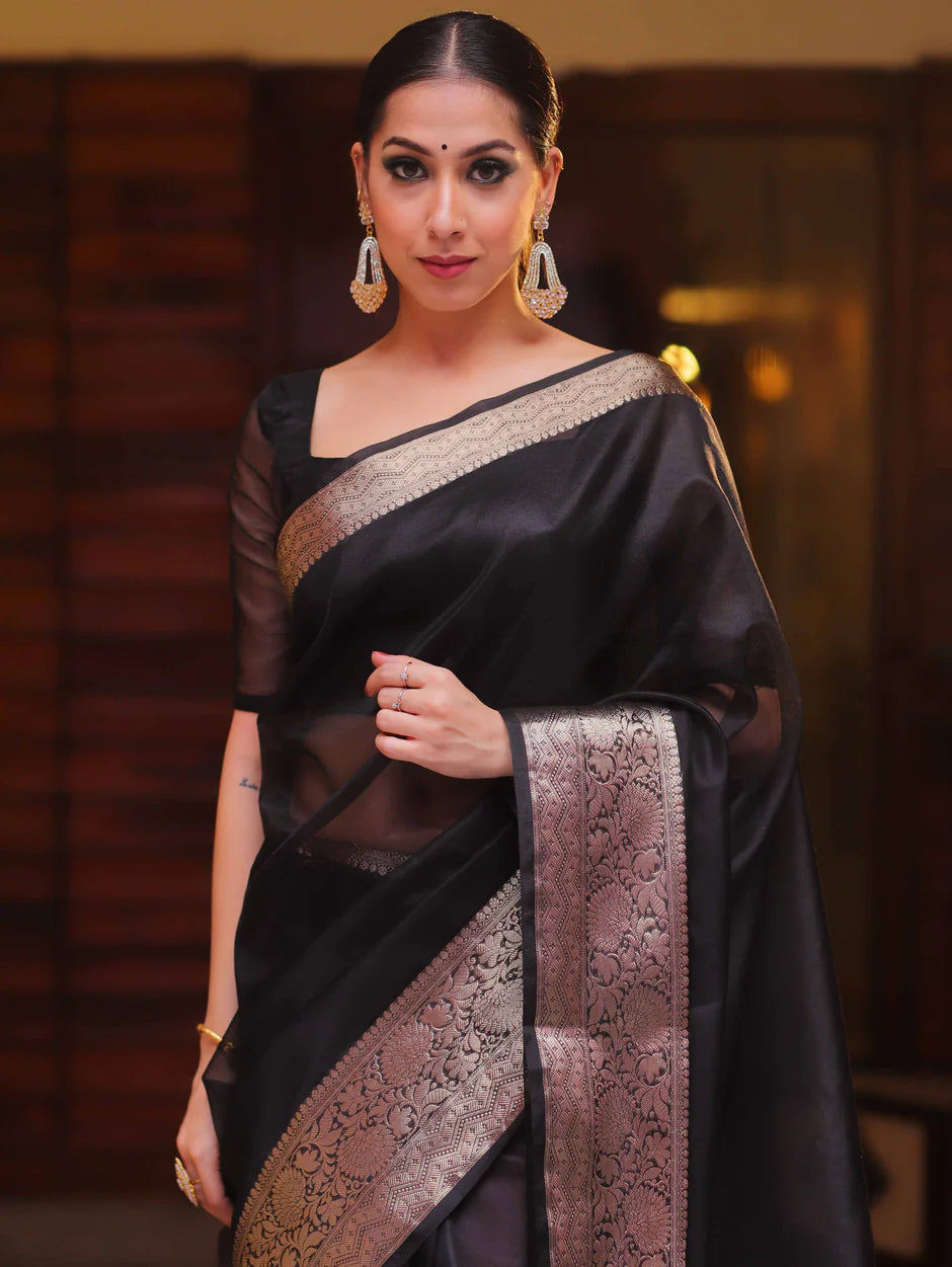 Beautiful Organza jacquard Navy Blue Saree With Raw Silk Blouse