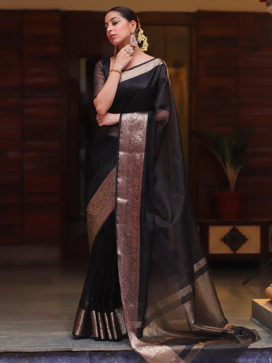 Beautiful Organza jacquard Navy Blue Saree With Raw Silk Blouse