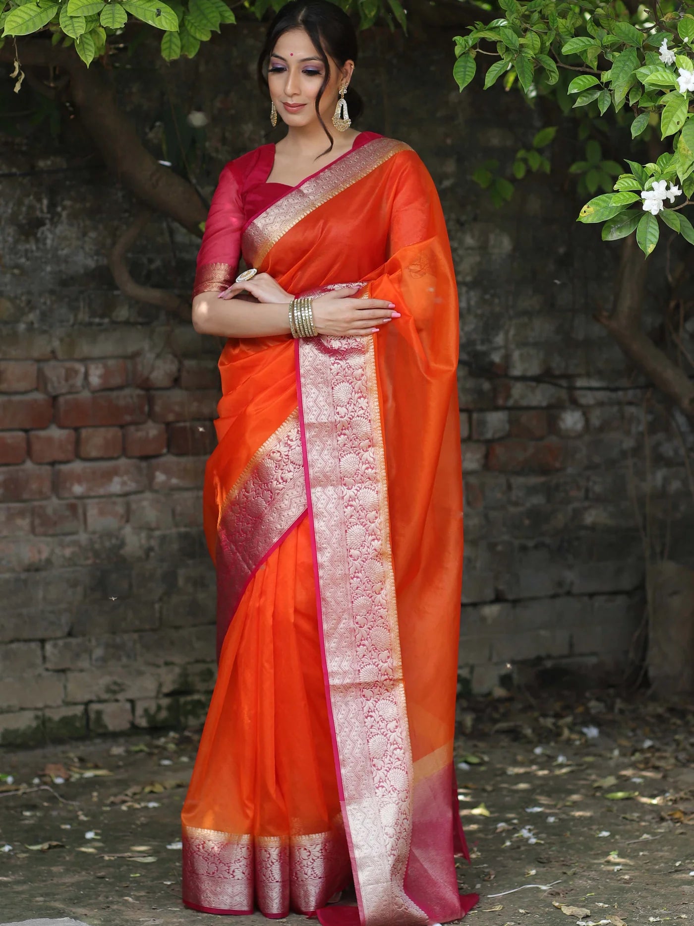 Beautiful Organza Jacquard Saree With Raw Silk Blouse